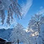 Alpenwohnung 